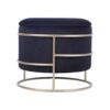 elegant velvet round ottoman with gold frame and storage 4 elegant velvet round ottoman with gold frame and storage 4