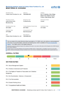 BSCI Audit Report FZ Victor